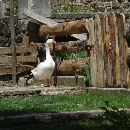 Du Galibot Cambalotte Bed & Breakfast Saint-Florent-sur-Auzonnet